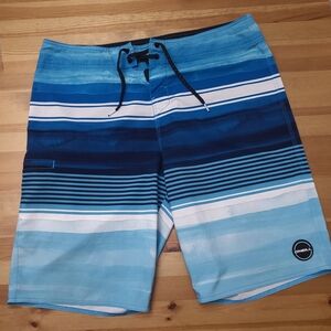 O'Neill Men's Blue Striped Swim Shorts